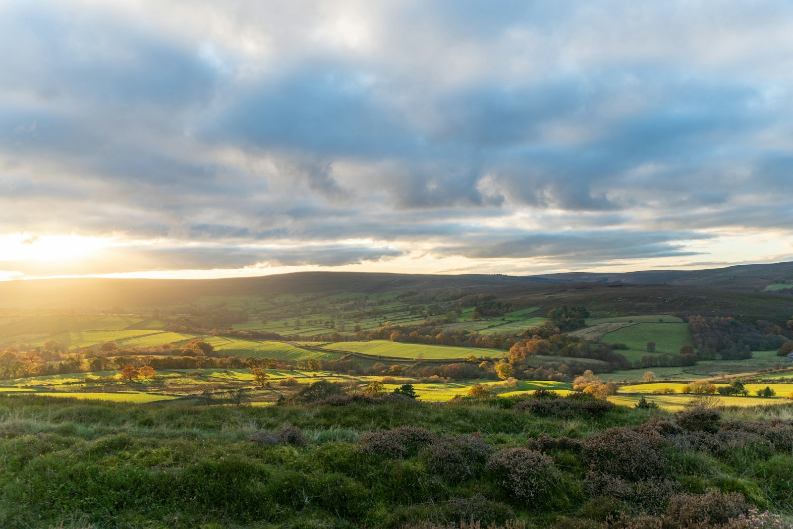 Yorkshire countryside view from a hilltop, looking across rolling farmland